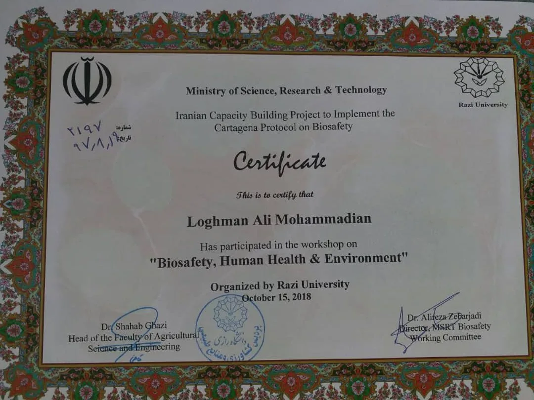 CERTIFICATE6